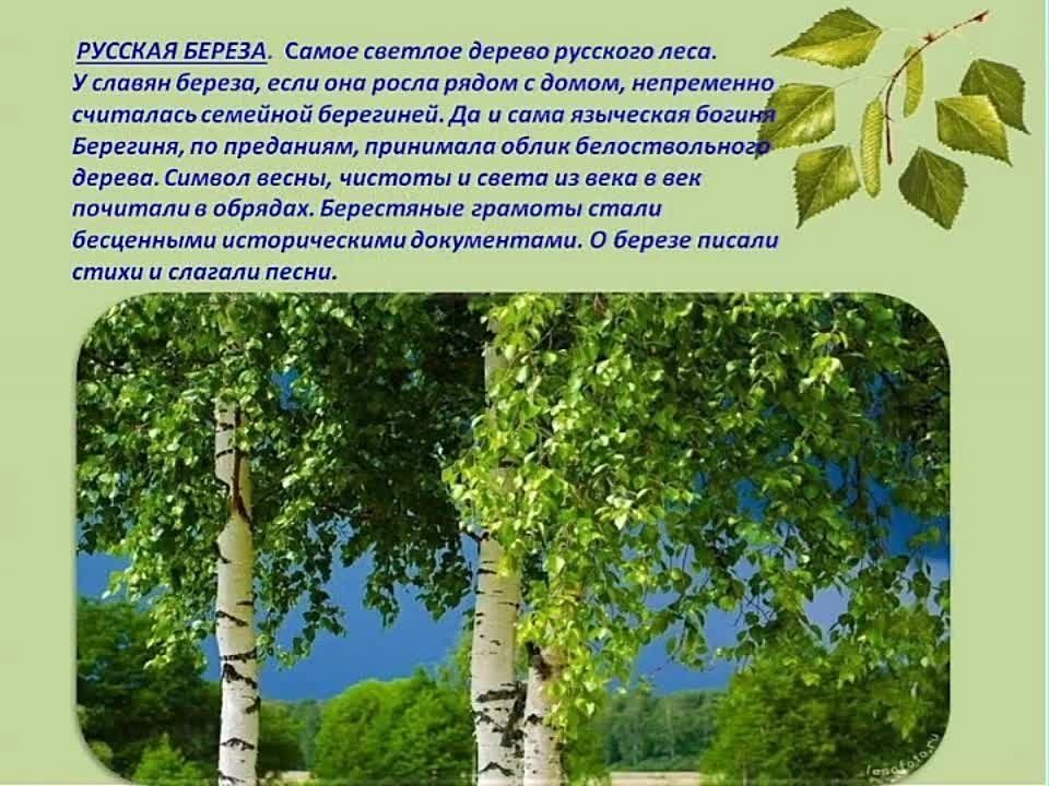 12 ���� ���� ������ ��������� ����� ������� �������, �������, ����, �������� ���� ������� ������
