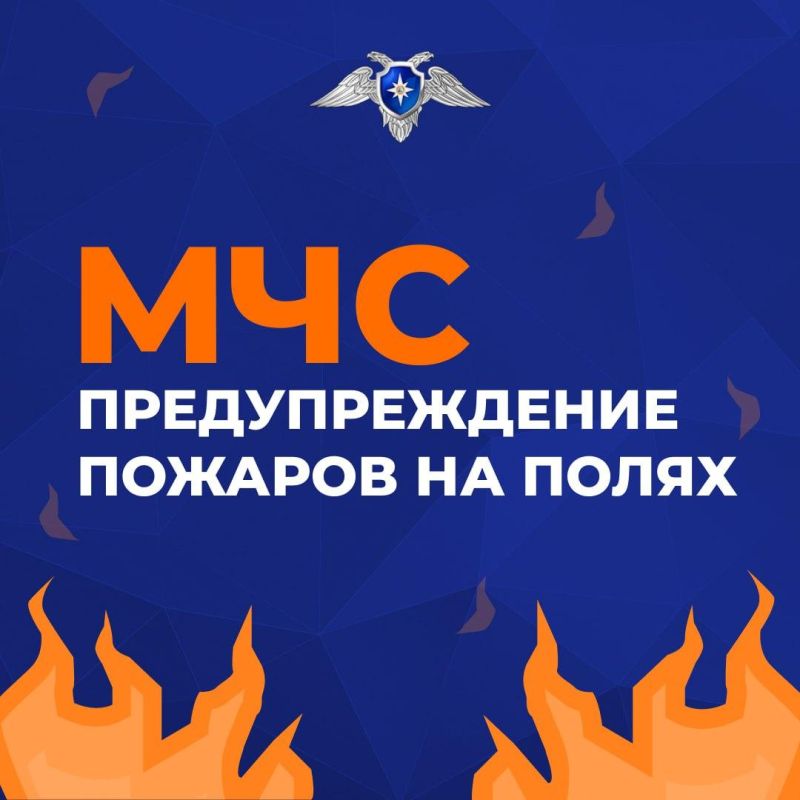 �������������� ������� �� �����