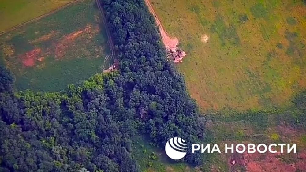 ���� �����: ������������� ������, ��� ��� ��������� ����� ��������� ��� �� �����, �� ���� ���� �������