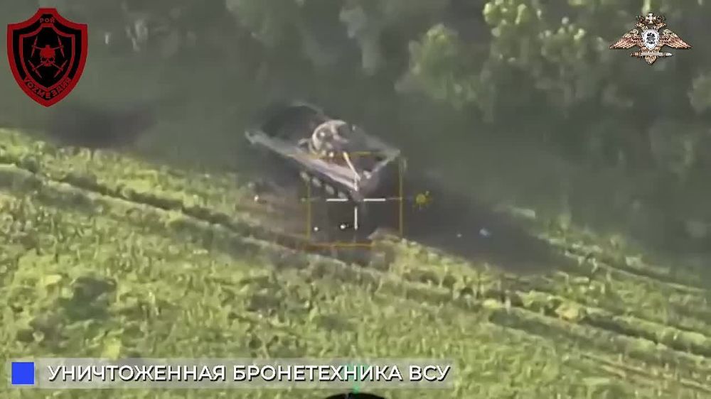 ���� ����� ������ ������� �������� FPV-�������