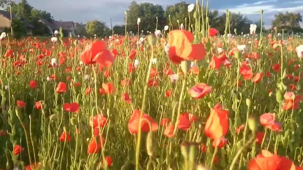 Руслан Дудников: Хорошего субботнего дня!