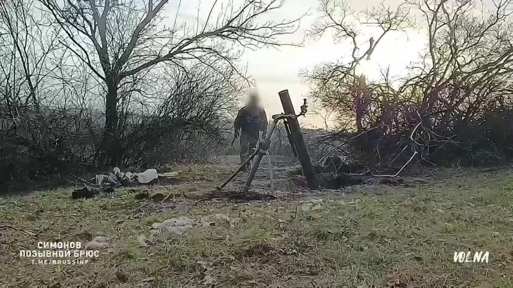 ����� ���������: ���� ����� ������! ������ ����� �� ����!