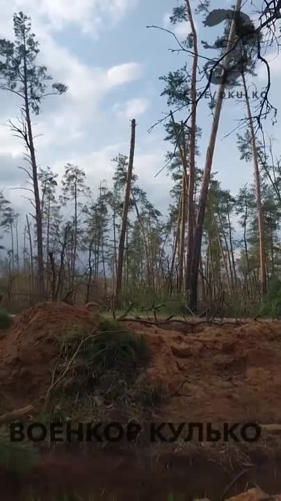 ���������� ���. ������� ����������� �� ������ ������ ��������� ��� - � ��� ��������� �-1 � ��� �������