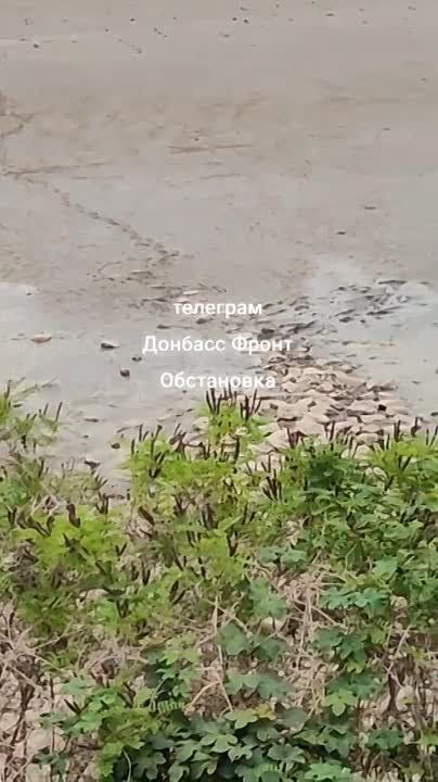 ��� �������� ������� ��������� �������������