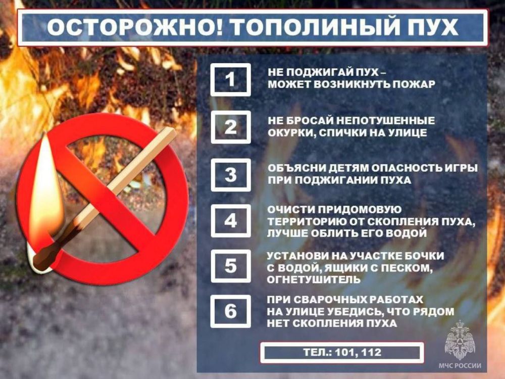 Руслан Дудников: Поджигать тополиный пух - ОПАСНО