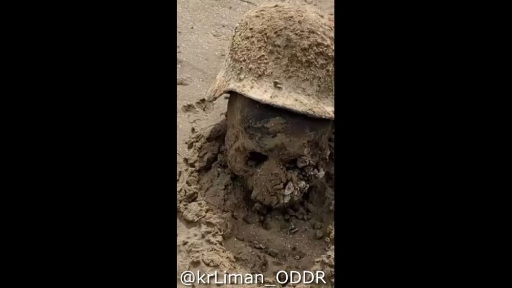 ������ ������ ������ �������� �������� ����������� ������ ������� ������������� �����
