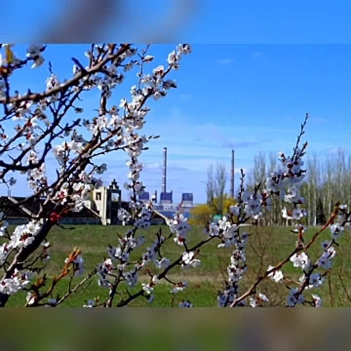 ������������ �������������� ���� ����������� ����������� ��������� "������� ������" ������ � ������