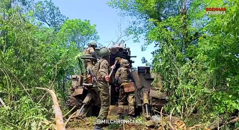 ����� �����: �������� ������ ��-������