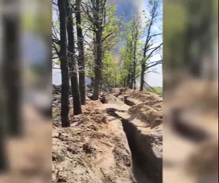 ��������� ������� "��������" ��������� ��������� ������
