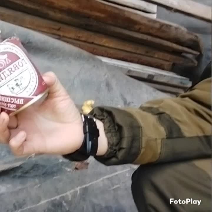 ������� �������� ������ ��������� �� ����� � �������� ���������� ��� ���� ������� � �����������