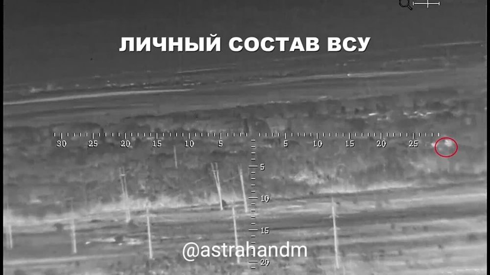 ������� ���������: ����������� ������� ������� ���������� ����������� 132-�� ������� (������ 3-�� �� ���)