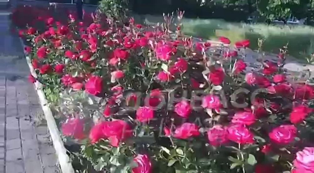 �� ��� ������ ������ ����� ���������� ���� ������������� ������ ������ �������� ���