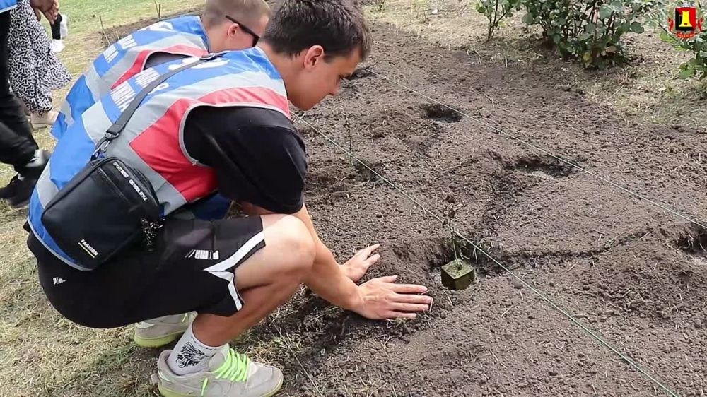 �������� ���� ����� ���