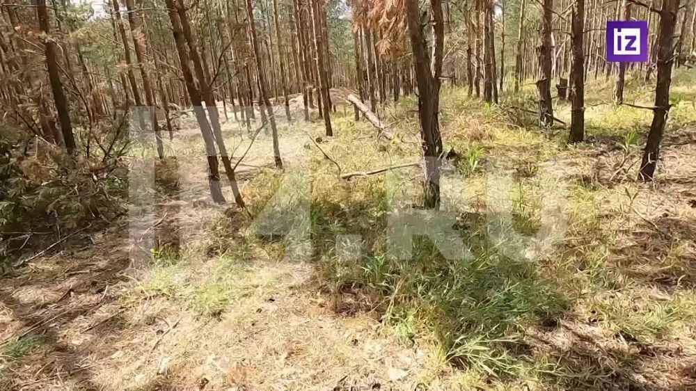 ����� ������: � ����� � ��� ���� ���� �� ���������� �� ��������� � ��������� ������������