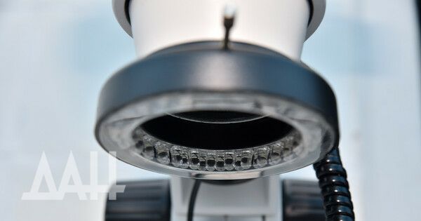 �������� ������� ������� �� ������ ���� ������� �������������� �� ������� ������������