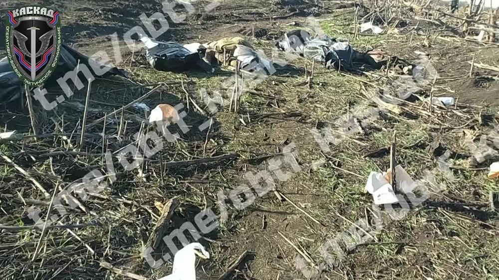 ������ ����������: ���� �� �������, ������� ���������� ���� (����������-������ ����������� ������������ ���) �������