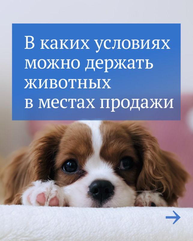 � ������ �������� ����� ���������� � ������ ������� ��������