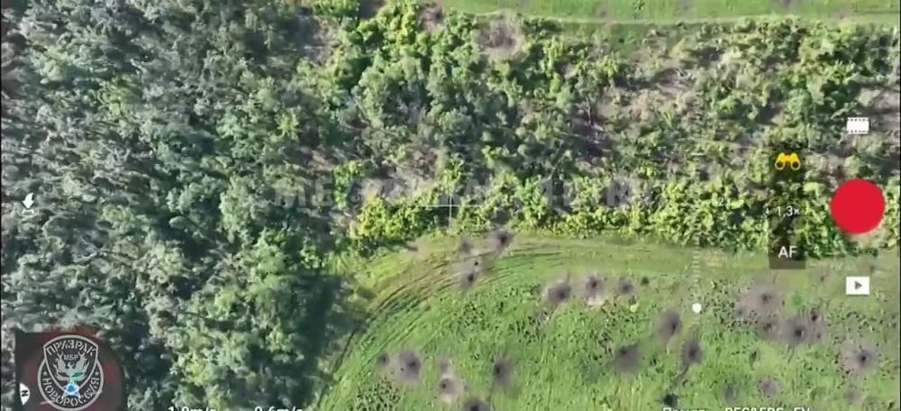 ��������� �������: "��� �� �����!". ��� ��������� ���� ��������� ��������� ������. ����������� �����������