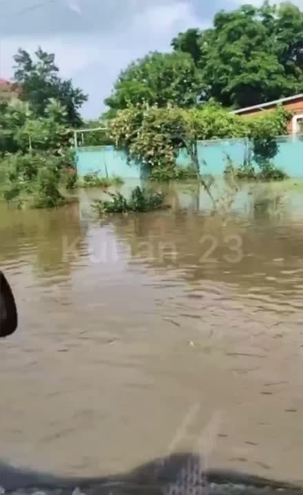 ����� ������������ � ���� � ��������� ������