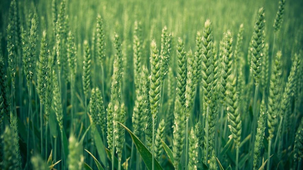 � ������������� ��������������� ������ ������ ��������� � ���������������������� ��� ����������������� ����� ������ �����...