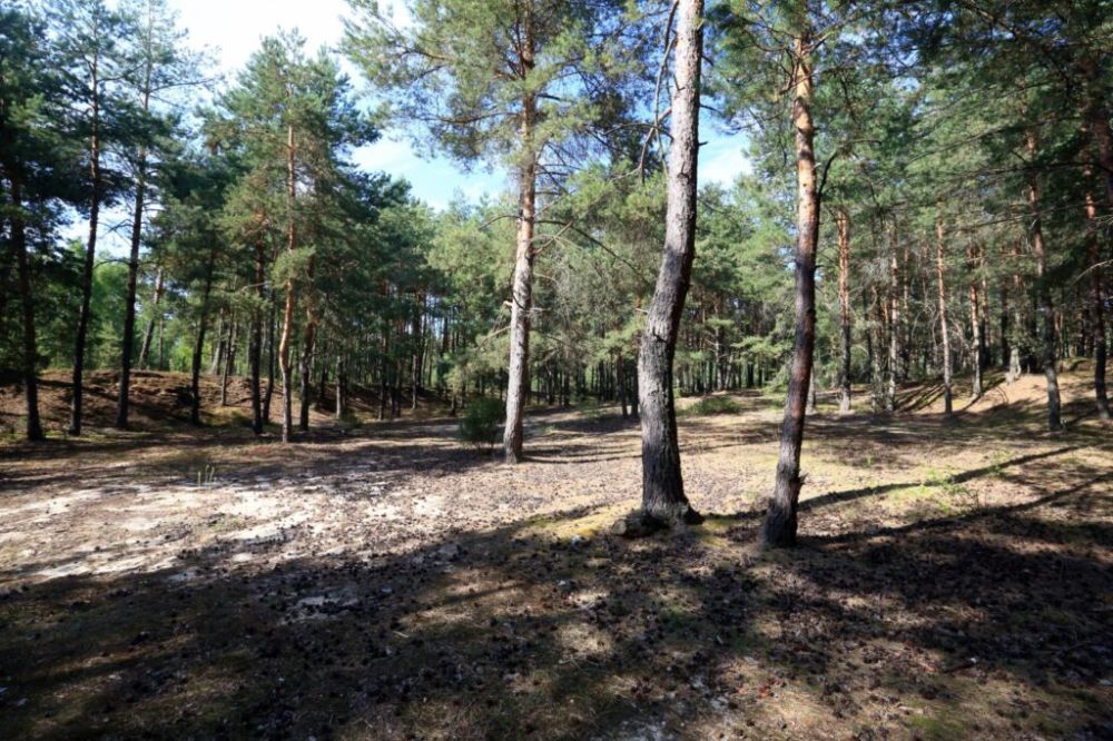 � ��� �� ����� ���� ����������� ����� 350 �� ����� � �������� ������