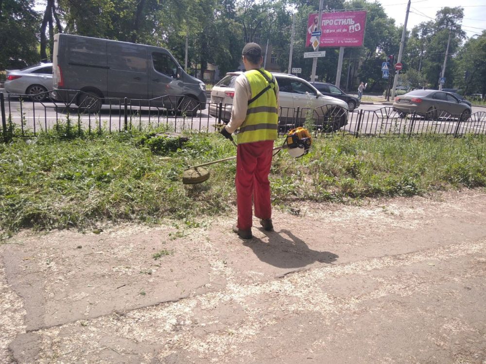 ������� ������: ������������� ��������� ������������ ������������� �. ������� "����������� �������� ������������ ������ �. �������" ������������ ������ �� ������ ����� �� ���������� ���������������� ������ �����