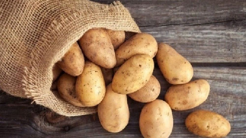 ����������� � ���� ����-2023 ���������� ��������������� �������� ��������� �������� � ���