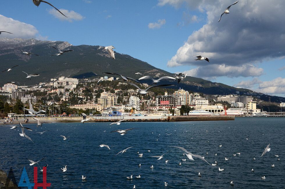 ��� ������������ � ������ � �������������� � ������-����������� � ������������� ������