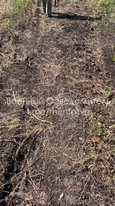 ������� �������: ���������� ������������� ���������� ������ ��������� ������������ �� ����������� �����������