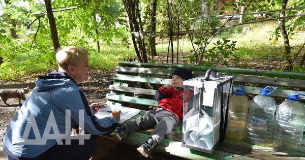 ������ ������������ ������ �������� ��� ���������� ������� � ����� ��������, ������� ��������