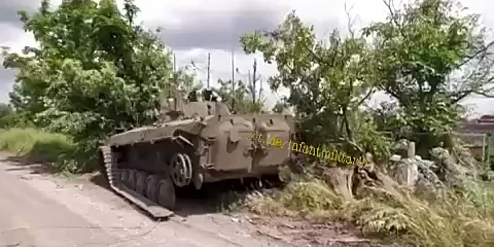 ����������� �����������