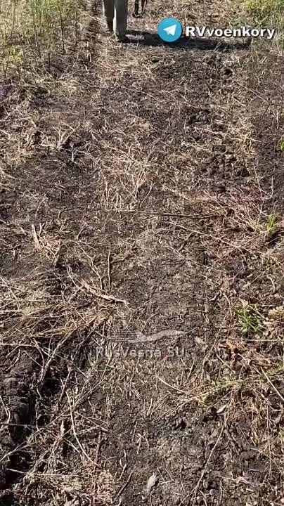 ���� ������ ������� ����������� ������������ ��� �� ���������� �������