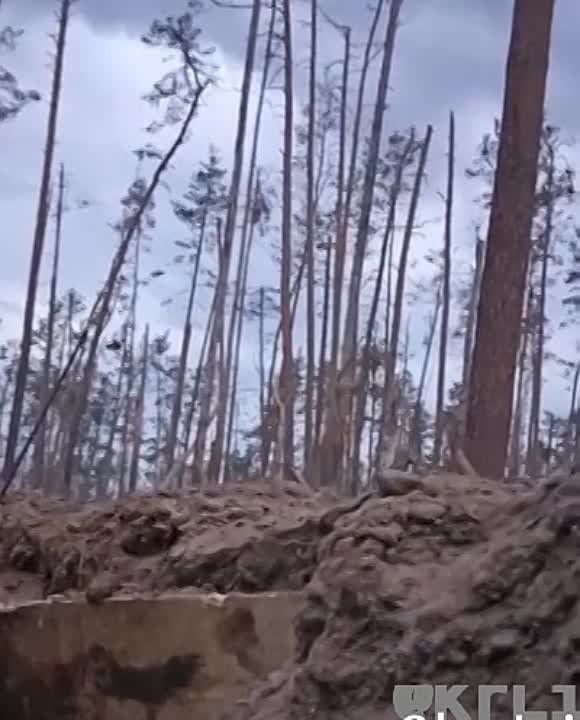 ��������������� �����������