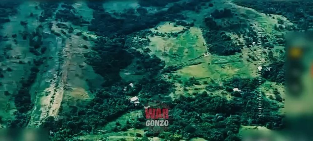 WarGonzo: ��������-���� ��� ������� �������