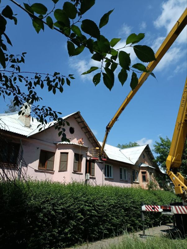 ������� ������: ��������� ������������ �. ������ ������� ������ �� ������� �������� ������ ������ ���� � 51 �� ����� �������������