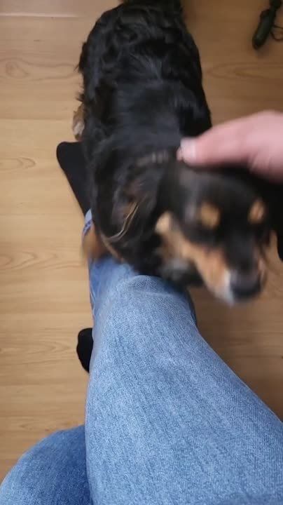 ���������� � ������ ��� ������ ������ �� ������