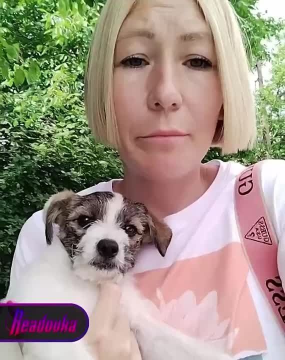 �����, ��� ������� ���������� ���������� ��������� �� �������������� ����, ������� � ���� ������ ��������� �������� � ������ �� ��� ����������� ���������� � ����������