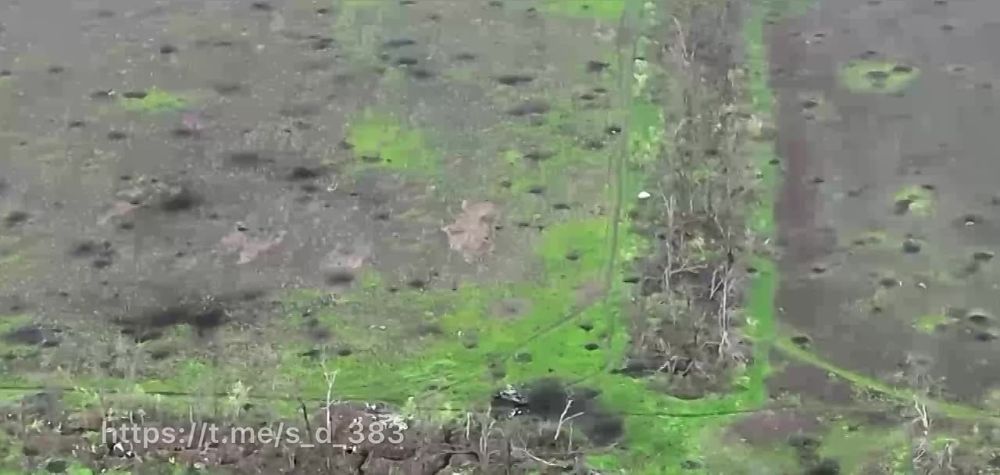 � ���������� ���������� ������ ������ 3-�� ��������� ��� "383-� ���������� �������" 1-�� �� 8-� ����� ��� �� ������ � 68-�� ���������� ������� ��� �� ������ ���������� � ���������� ������� ���������� �� ����������� �����������