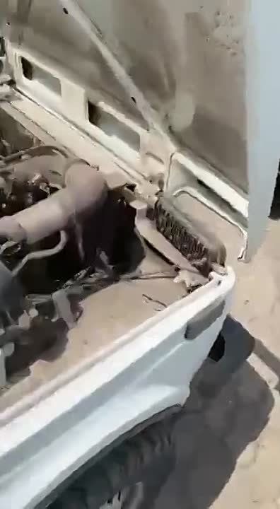 ��������� ���: ��� ���-���� �����������, ��� ��� ������������� ��������� � 103 ����� 150 �������, ������� ����� � ��������