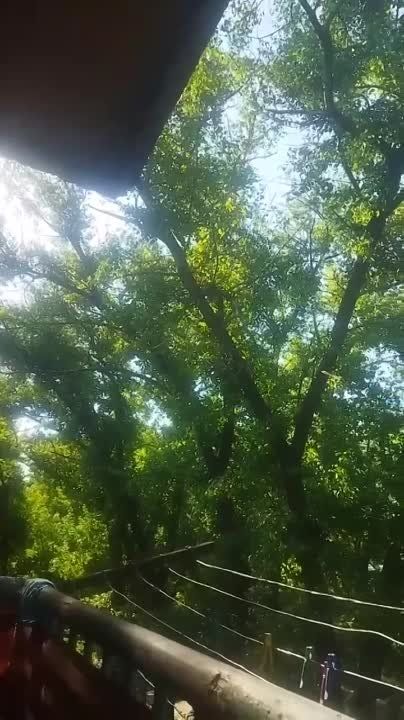 ���������, ��������� ����� �������