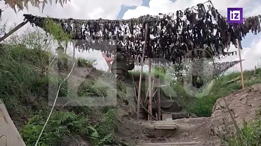 ���������� ���� ���������, ��� ��� ������� ������� ��������� �� ����-�������� �����������