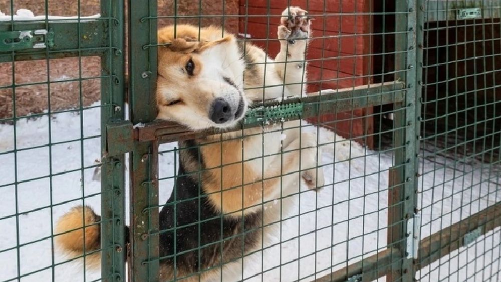 ����� ������� � ������� ��� ������� �� ������ �������� ������ � ������� �������� �����