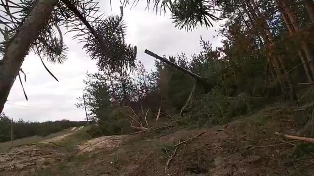 �� ��������� ����� ��� ���������� ����������� ������� �������������� �������� �� ����-��������, ����������� � �������� ������������