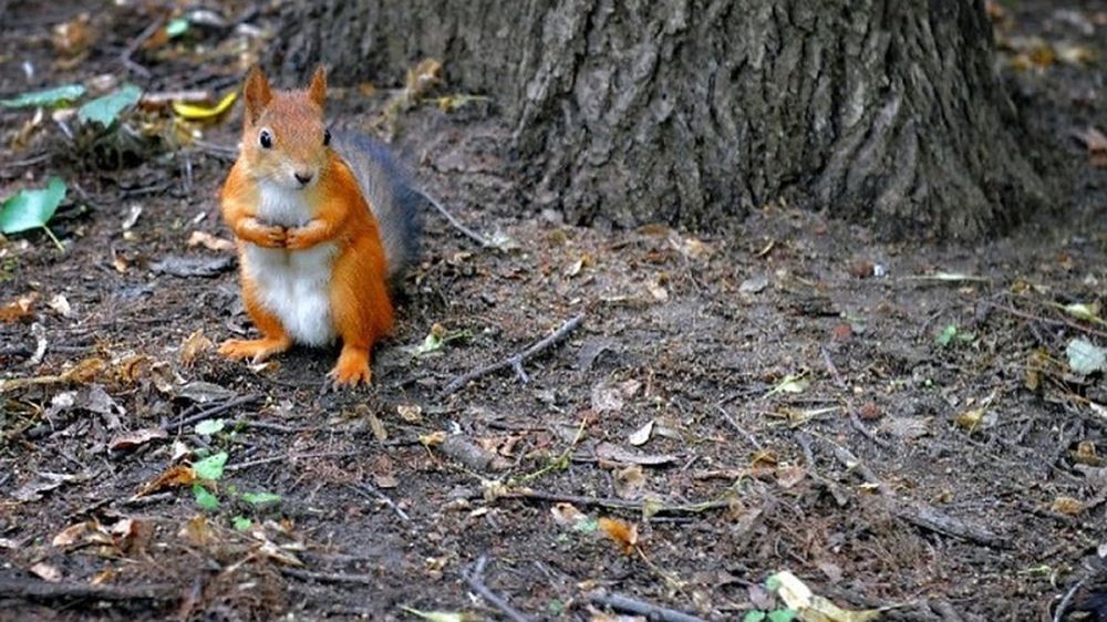 � ��� ����������� 200 �������� ���� �� ���� ��������������� ������� � 2024 ����