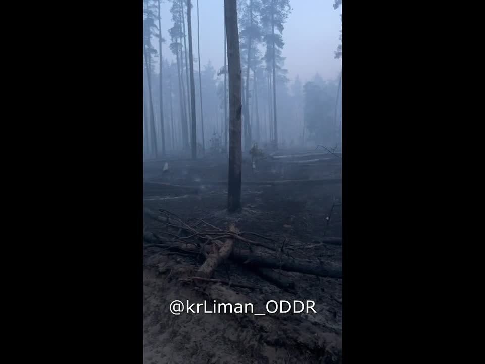 ��� �� ��������������� �����������