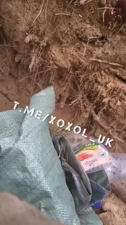 ����� ������� ������ �����, ���� ������� ����� ���������