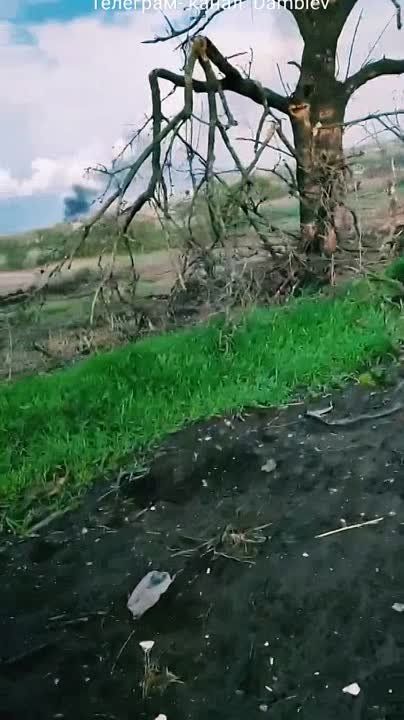 ������ �������: ������������ ������� �������������� ���������� ����� � ������ �.�. ������� ����� ����������