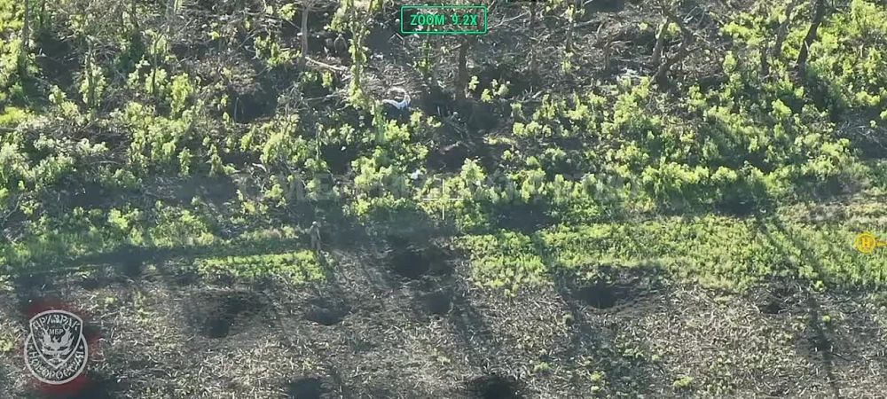 �������� �������� ���������� ����� �� ������� � ���������
