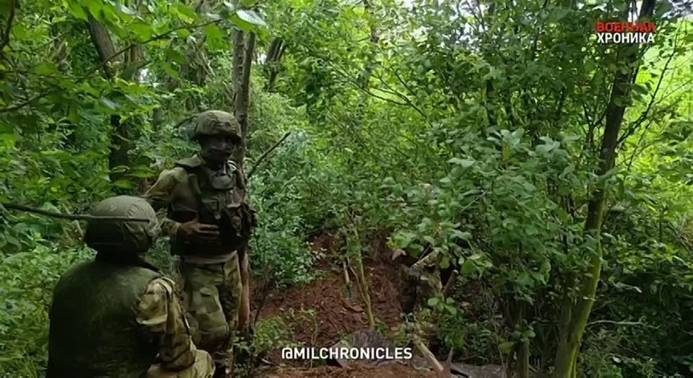 ��� ������ ������� � ������ ������ � �������� �������