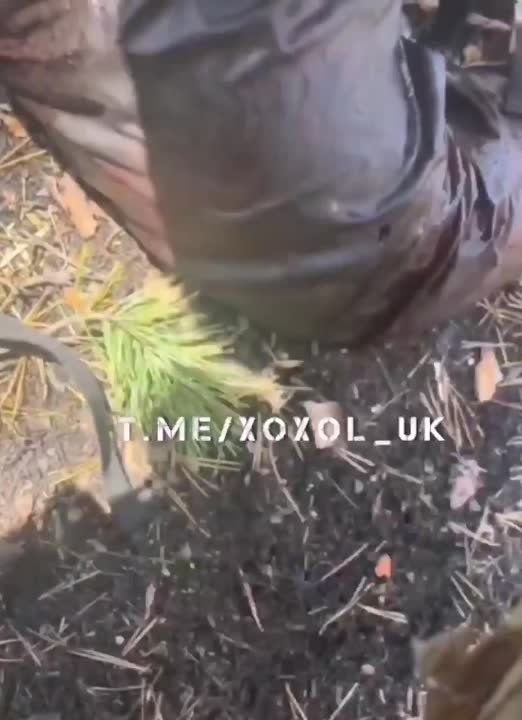 �� - ������, �� - ��������, ��, @�����..